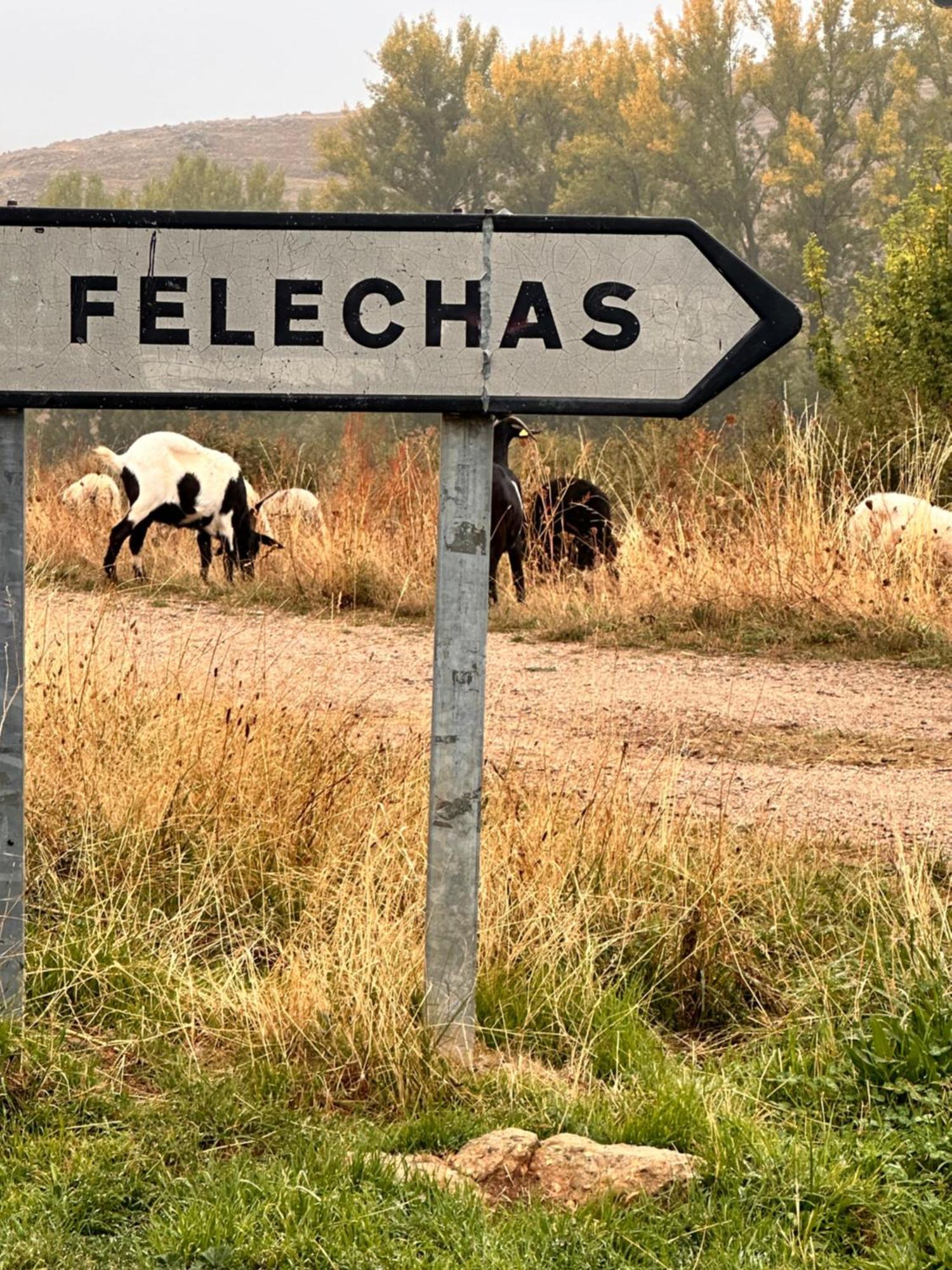 Los Tres Horreos Felechas 외부 사진